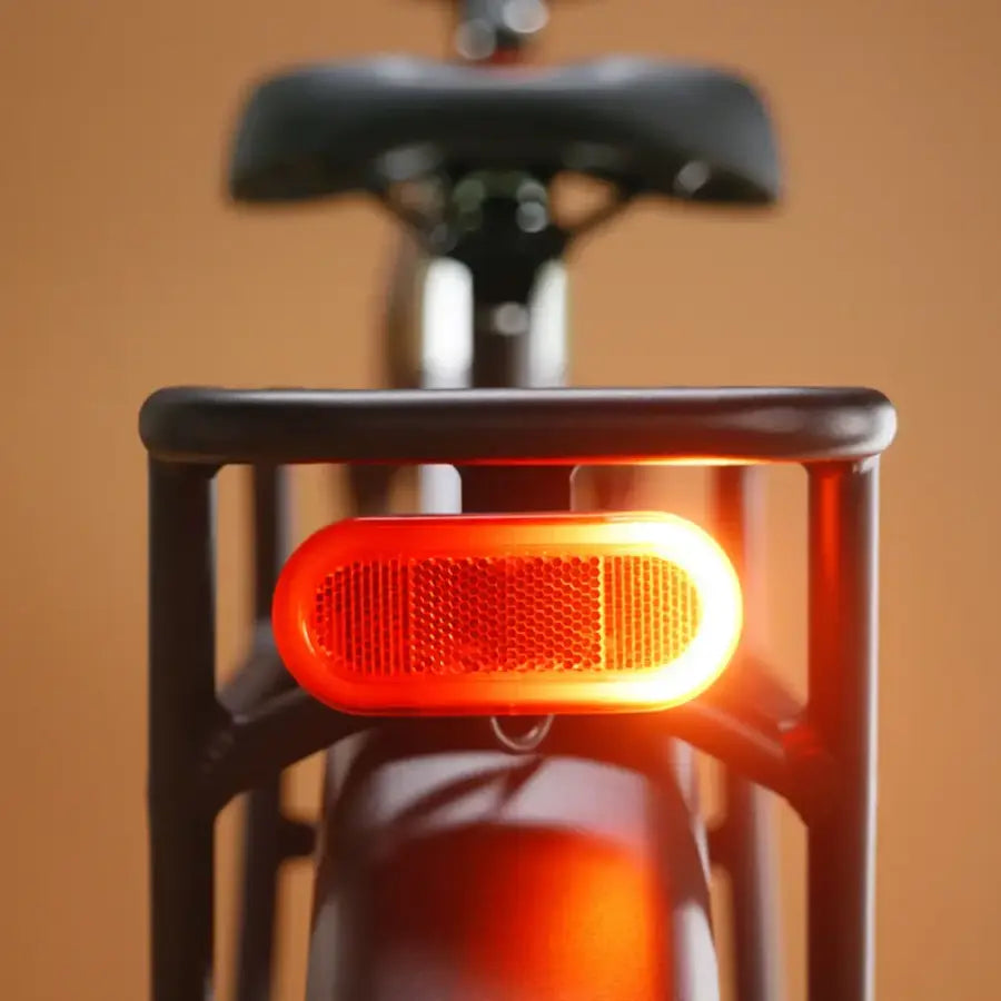 Rad Power Bikes Radster Trail Electric Off-Road Bike - Image 3